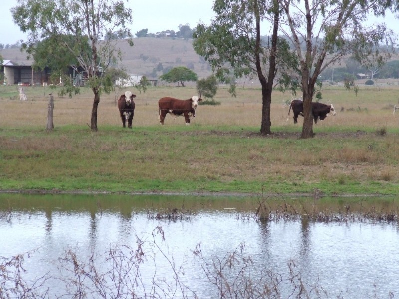 489 McKenzie Road, Alton Downs QLD 4702