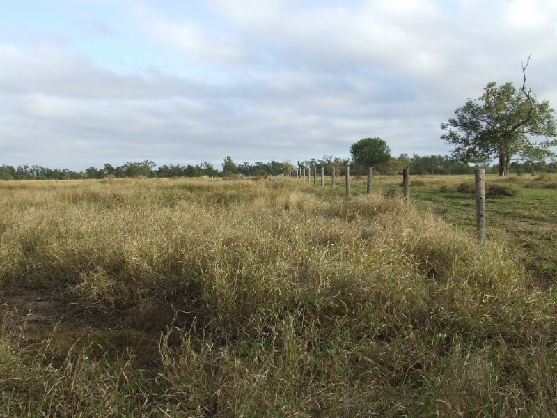 489 McKenzie Road, Alton Downs QLD 4702