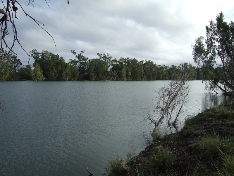 489 McKenzie Road, Alton Downs QLD 4702