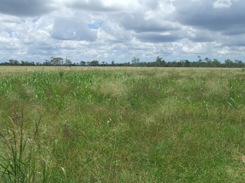 Lot 12 Alton Downs-Nine Mile Road, Alton Downs QLD 4702