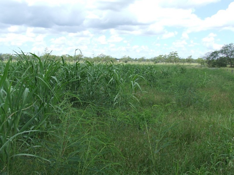 Lot 12 Alton Downs-Nine Mile Road, Alton Downs QLD 4702