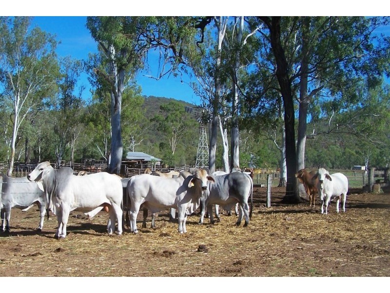 1200 Glengowan Road, Rockhampton QLD 4700