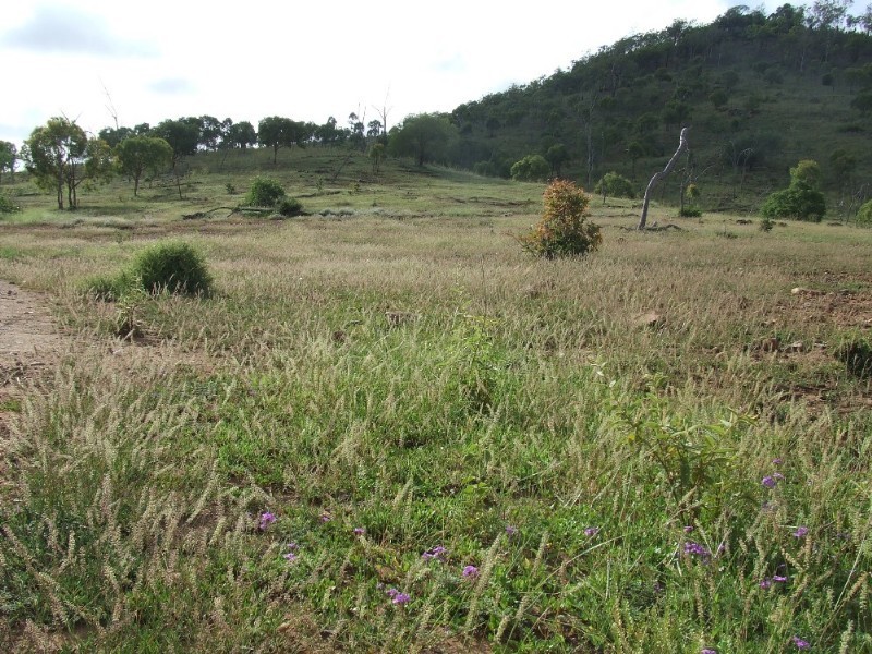 1200 Glengowan Road, Rockhampton QLD 4700