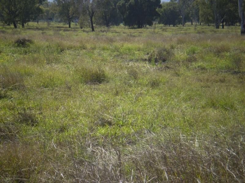 Lot 26 -31 Port Curtis Road, Port Curtis QLD 4700