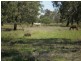 Lot 26 -31 Port Curtis Road, Port Curtis QLD 4700