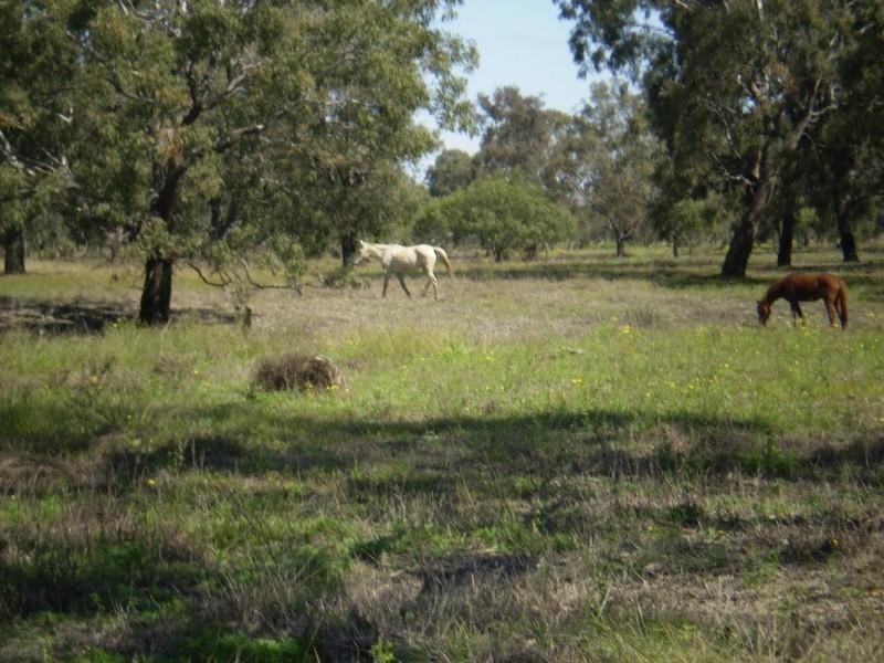 Lot 26 -31 Port Curtis Road, Port Curtis QLD 4700