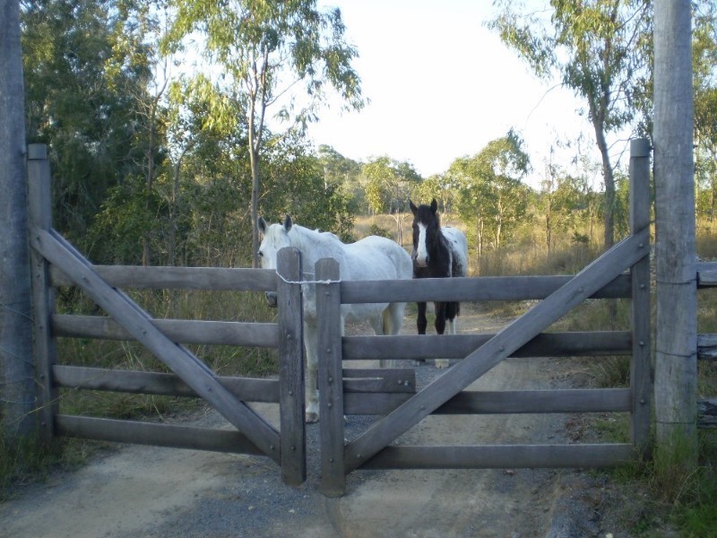 1778 Emu Park Road, Tungamull QLD 4702