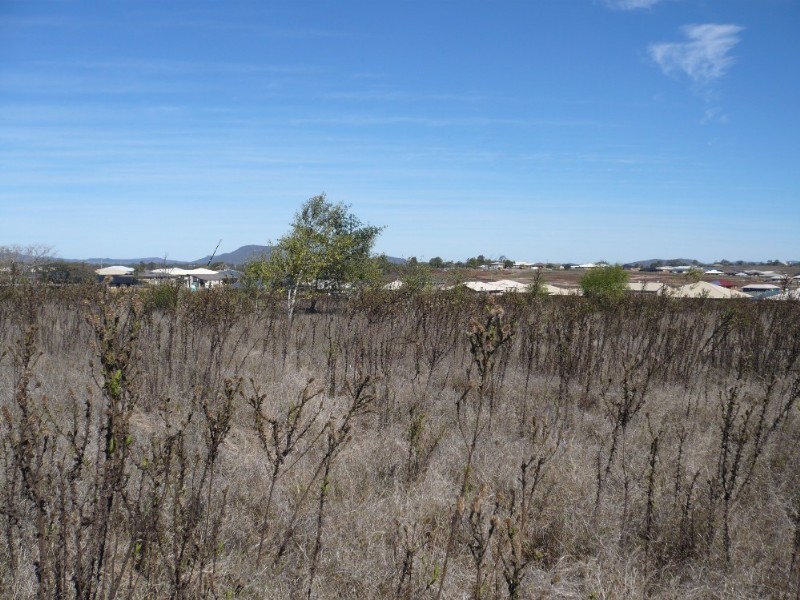 215 Lucas Street, Gracemere QLD 4702