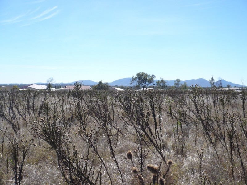 215 Lucas Street, Gracemere QLD 4702