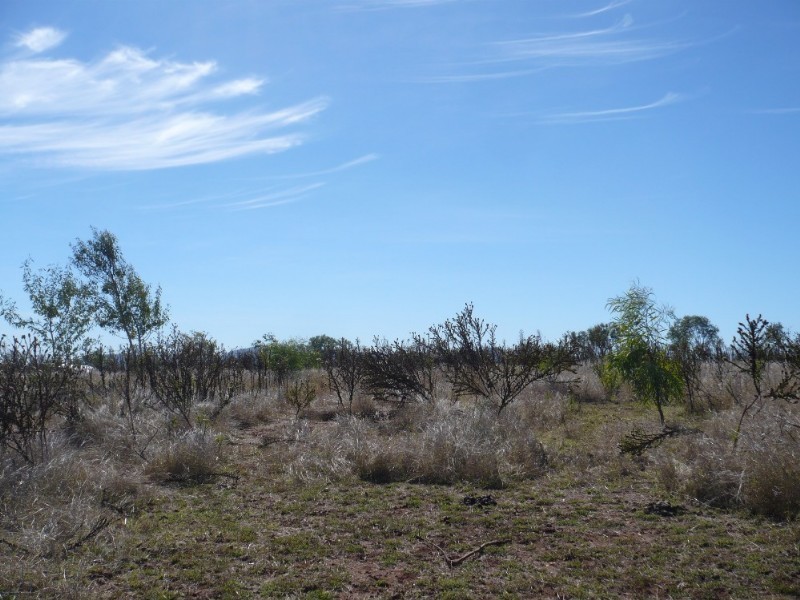 215 Lucas Street, Gracemere QLD 4702