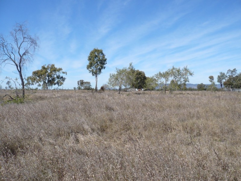 215 Lucas Street, Gracemere QLD 4702