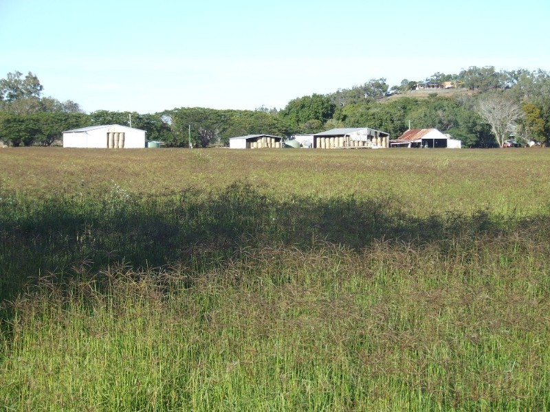 246 Fairy Bower Road, Gracemere QLD 4702