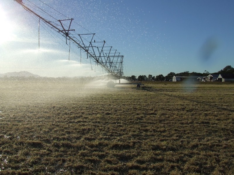 246 Fairy Bower Road, Gracemere QLD 4702