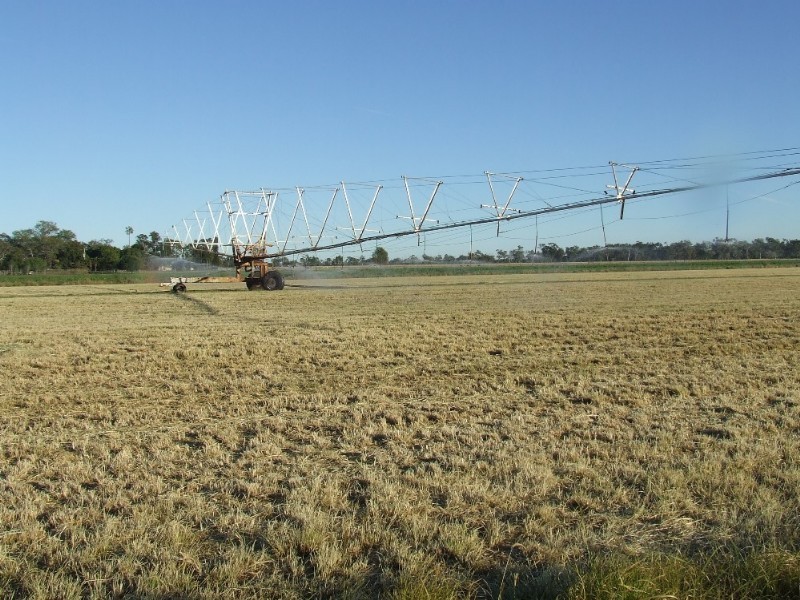 246 Fairy Bower Road, Gracemere QLD 4702