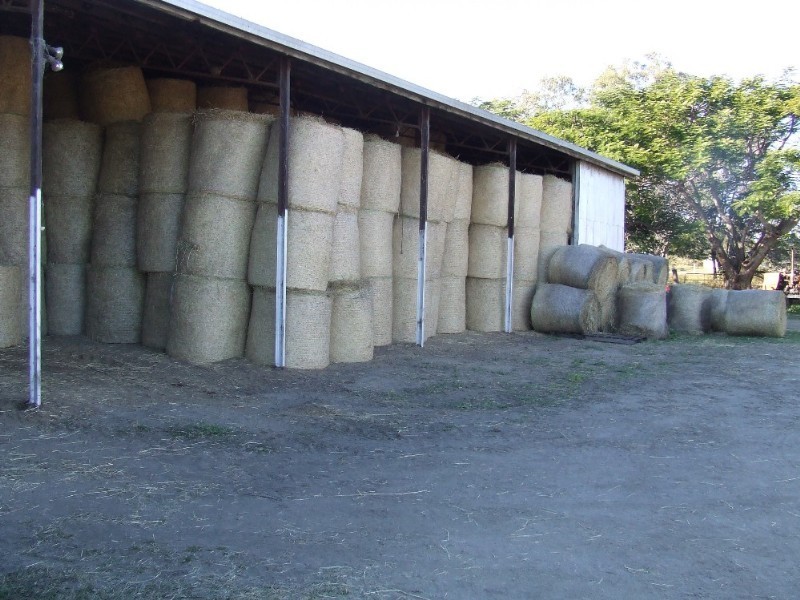 246 Fairy Bower Road, Gracemere QLD 4702