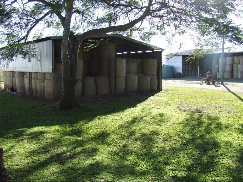 246 Fairy Bower Road, Gracemere QLD 4702