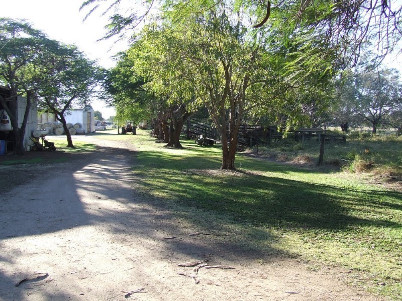 246 Fairy Bower Road, Gracemere QLD 4702