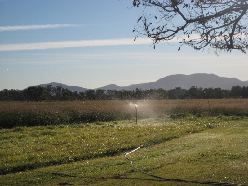 246 Fairy Bower Road, Gracemere QLD 4702