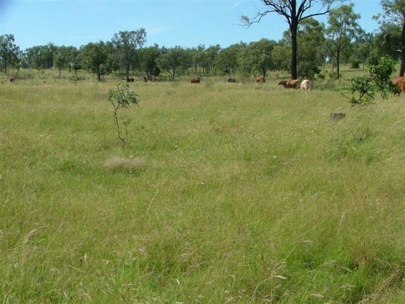 0 Marble Ridges Road, Morinish QLD 4702