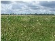Alton Downs QLD 4702