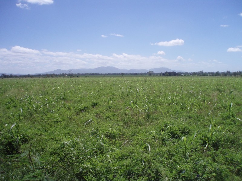 Alton Downs QLD 4702