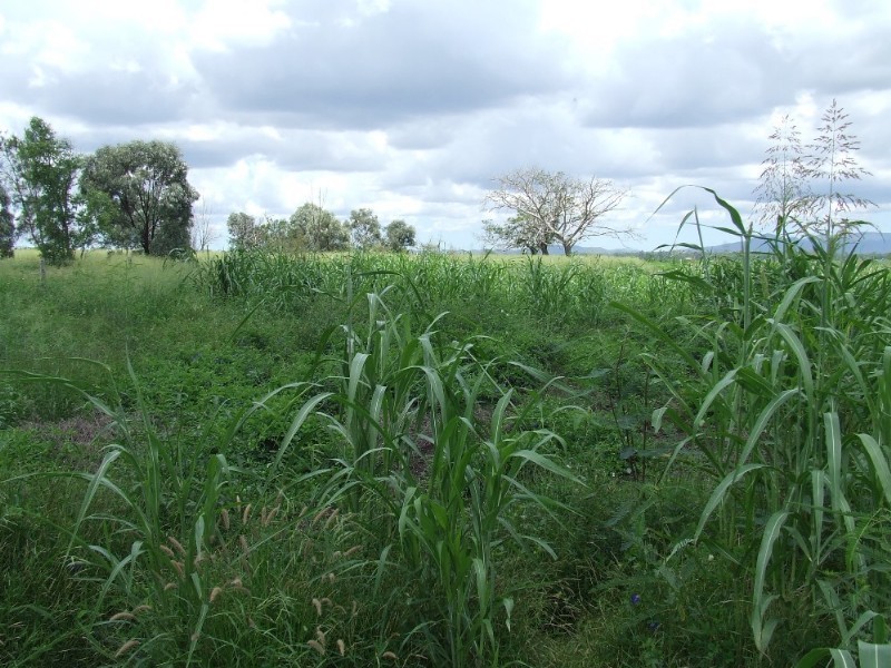 Alton Downs QLD 4702