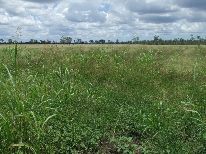 Alton Downs QLD 4702