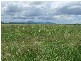 Alton Downs QLD 4702