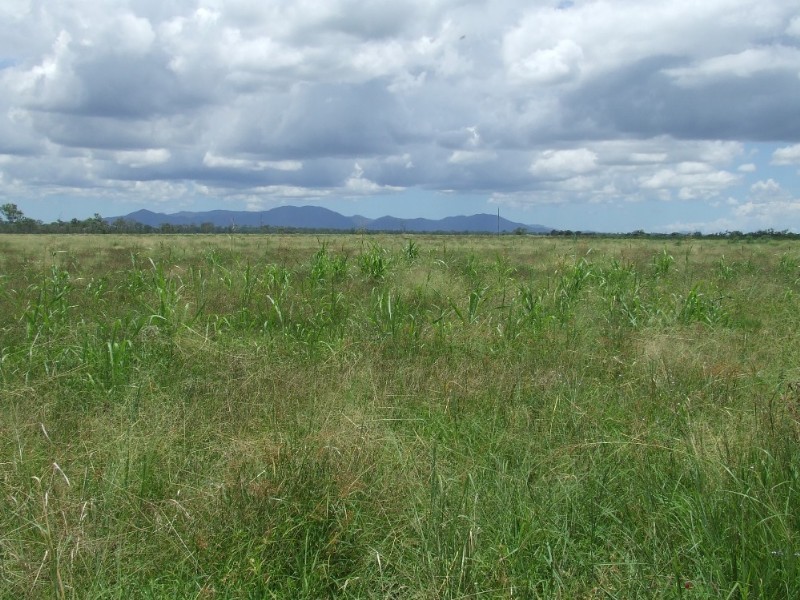 Alton Downs QLD 4702