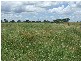 Alton Downs QLD 4702