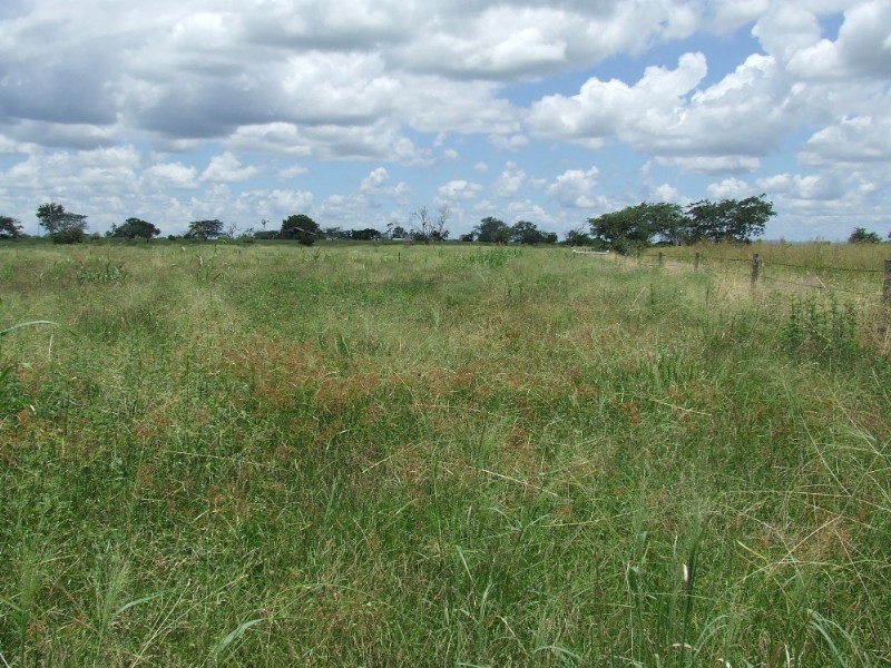 Alton Downs QLD 4702