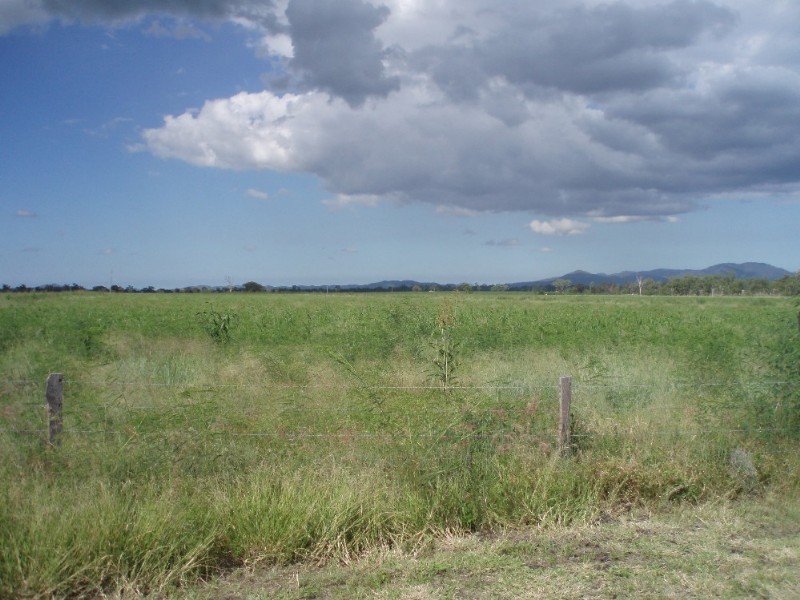 Alton Downs QLD 4702