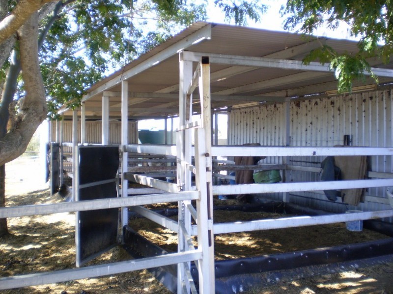 38 Goodwin Road, Gracemere QLD 4702