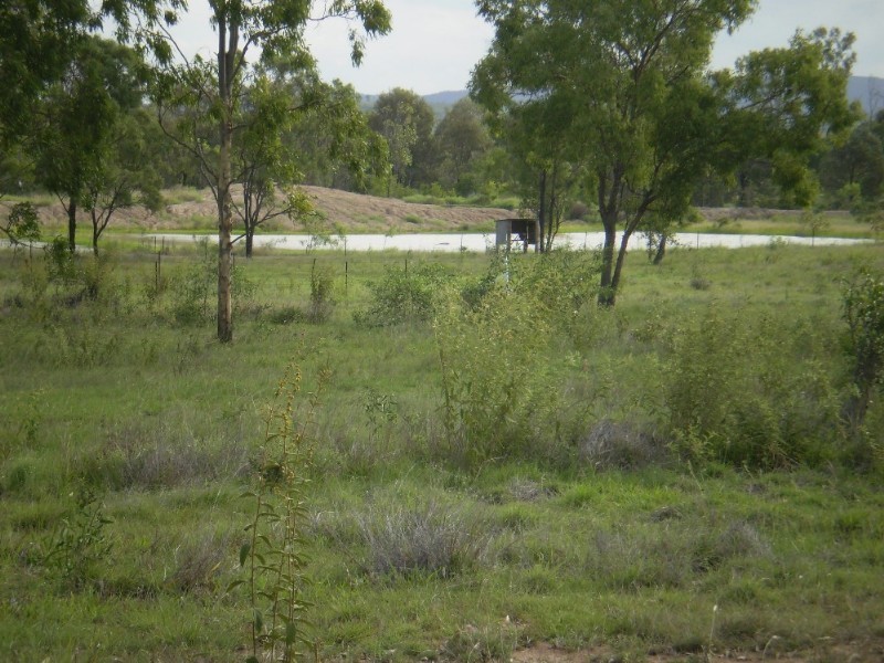 207 Dalma/Ridgelands Road, Ridgelands QLD 4702