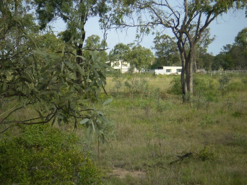 207 Dalma/Ridgelands Road, Ridgelands QLD 4702