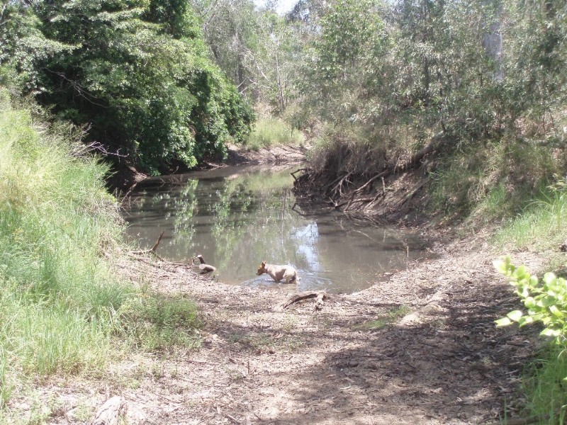 207 Dalma/Ridgelands Road, Ridgelands QLD 4702