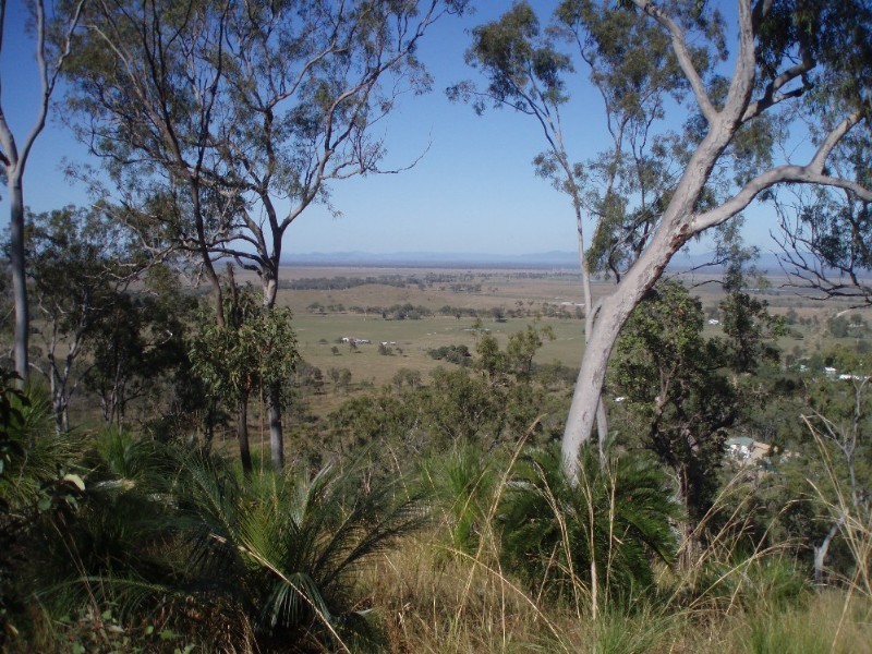 1033 Emu Park Road, Nankin QLD 4701