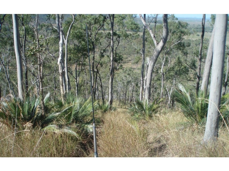 1033 Emu Park Road, Nankin QLD 4701