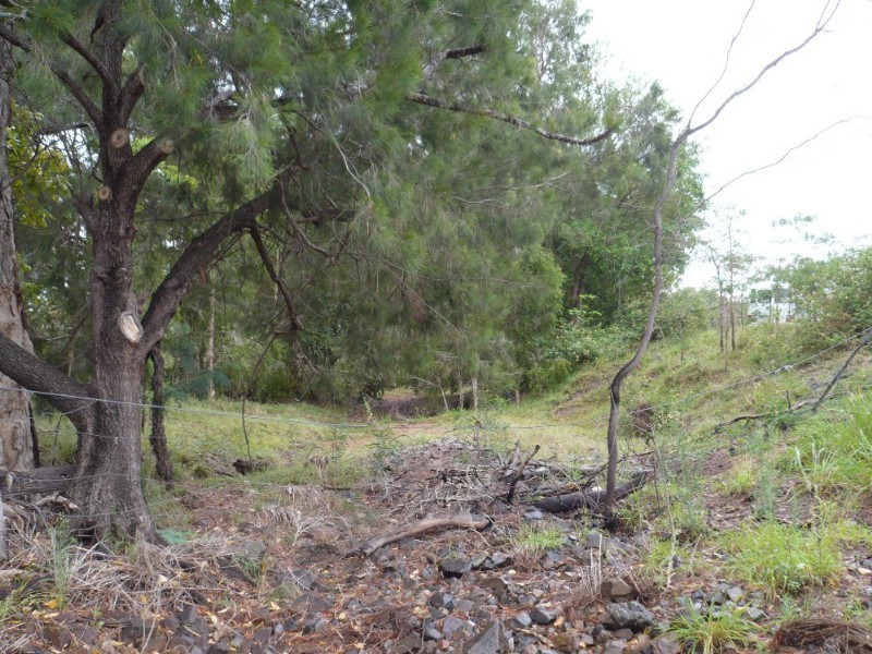 156 Middle Road, Gracemere QLD 4702