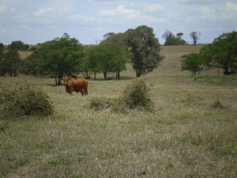 2432 South Yaamba Road, Garnant QLD 4702