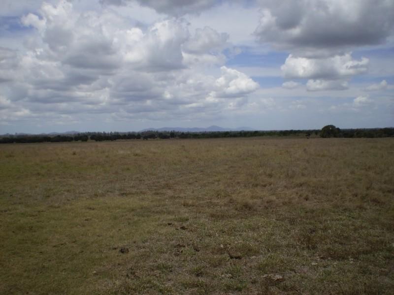 2432 South Yaamba Road, Garnant QLD 4702