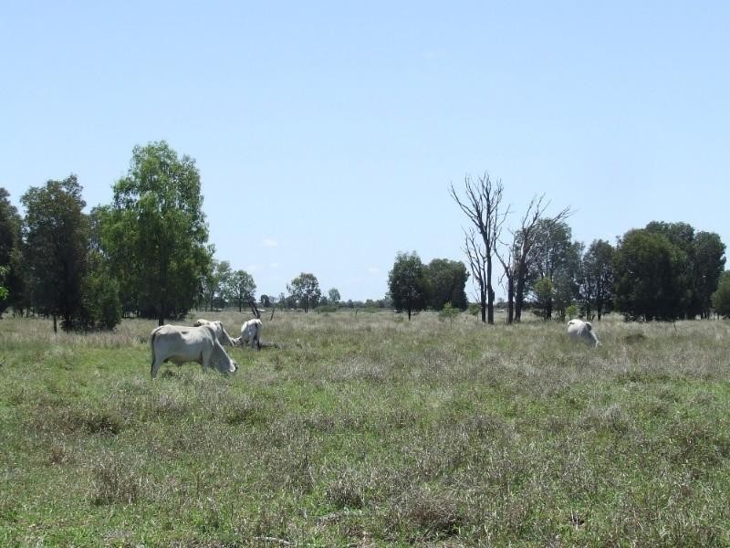 430 Byrnes Road, Baralaba QLD 4702