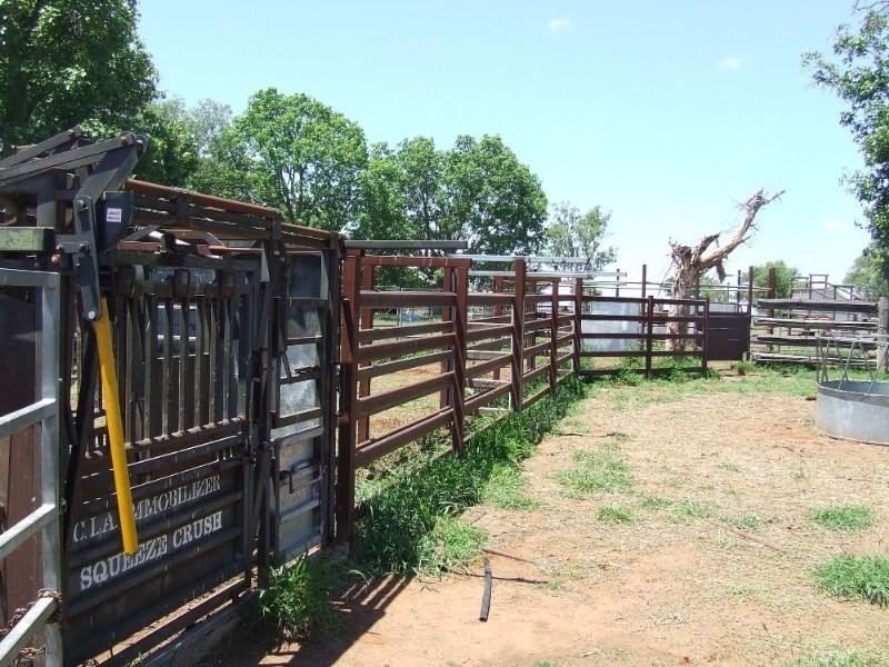 430 Byrnes Road, Baralaba QLD 4702