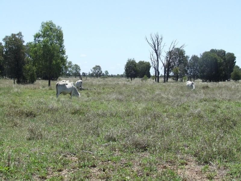 430 Byrnes Road, Baralaba QLD 4702