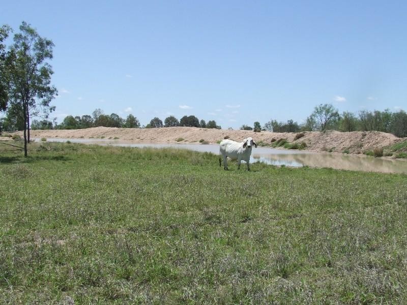 430 Byrnes Road, Baralaba QLD 4702