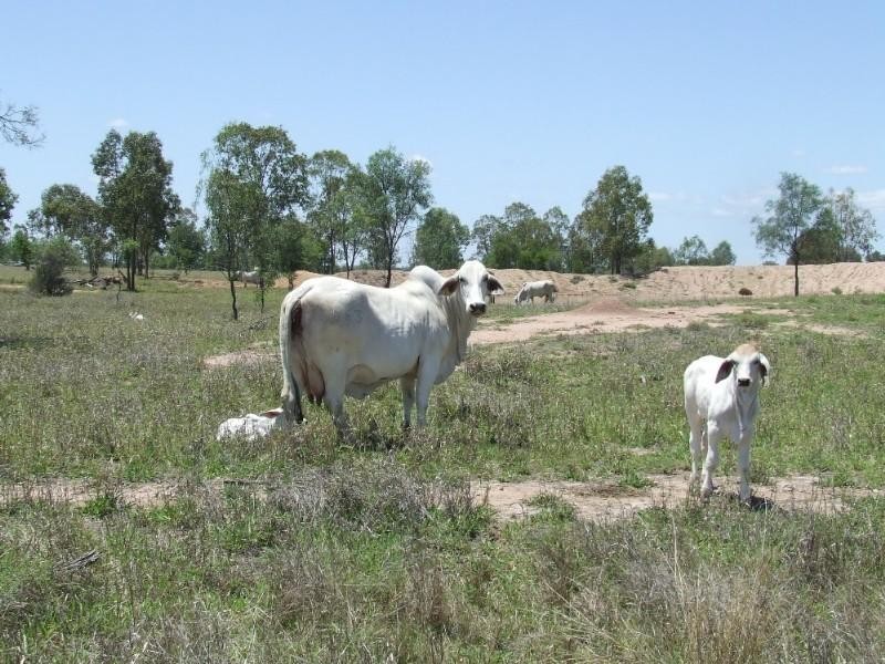 430 Byrnes Road, Baralaba QLD 4702