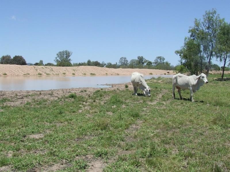 430 Byrnes Road, Baralaba QLD 4702