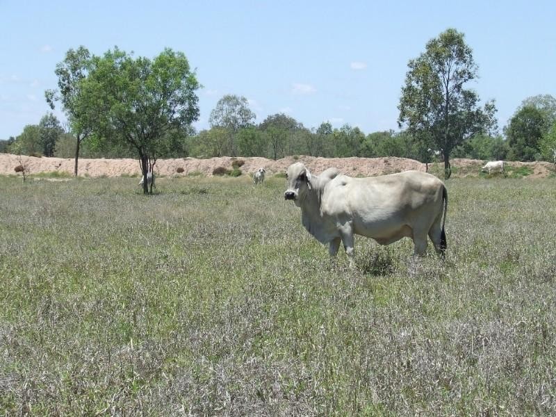 430 Byrnes Road, Baralaba QLD 4702