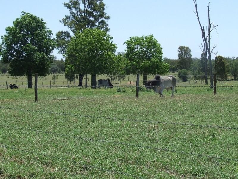 430 Byrnes Road, Baralaba QLD 4702