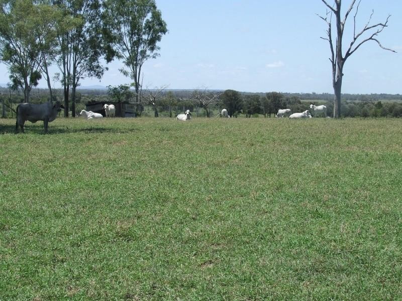 430 Byrnes Road, Baralaba QLD 4702